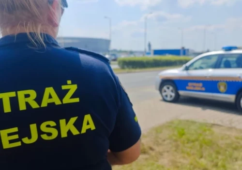 „Mucha wpadła mi do oka”, „chciałem się oświadczyć”. Tak tłumaczą się wrocławscy kierowcy