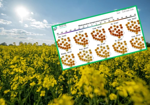 Nadchodzi kolejna fala upałów. Ekstremalne temperatury przyjdą szybciej niż sądzono. Podano konkretną datę