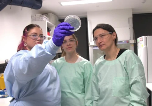 Dwa β-laktamy mogą skuteczniej hamować oporne szczepy Pseudomonas aeruginosa