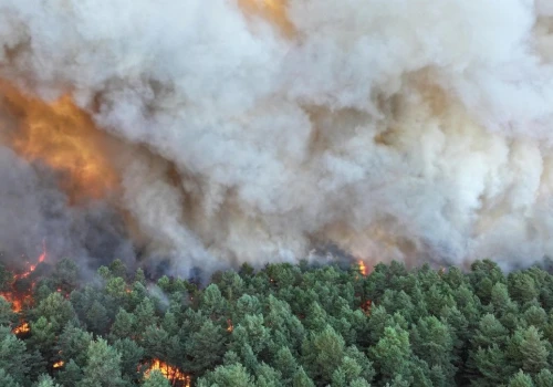 Ogień strawił tysiące hektarów Francji. Zatrzymano 59 osób
