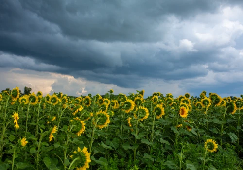 Pogoda na wtorek. Słupki temperatury w górę i ostrzeżenia przed silnym wiatrem