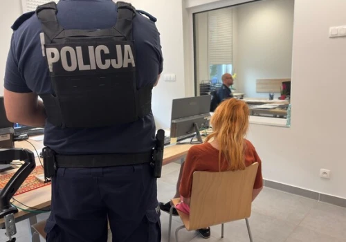 „Kradnę, bo to mój styl życia”. 33- letnia mieszkanka Poznania wpadła w Nowym Tomyślu
