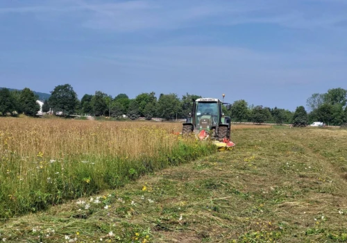 Sianokosy wróciły na krakowskie Błonia. Trawa trafi na paszę dla zwierząt (Galeria)