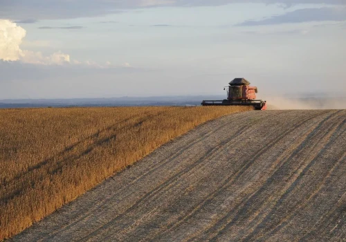 Boom na alternatywne uprawy. Niektóre zwiększyły areał nawet o 800 proc.