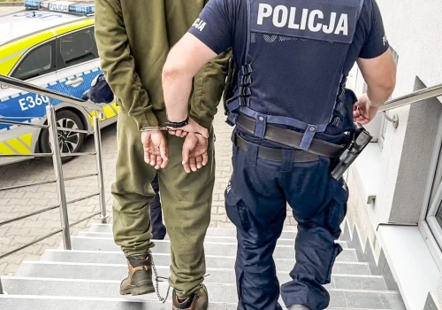 Zwłoki czterech szczeniąt w kontenerze z odzieżą. Podejrzany o ich zamordowanie w rękach policji