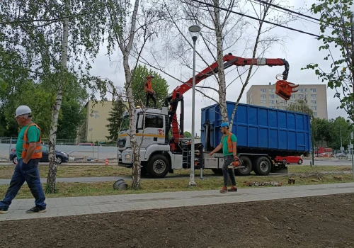 Kolejne drzewa zniknęły z Prądnika Czerwonego. Mieszkańcy: zielona okolica zamienia się w betonozę