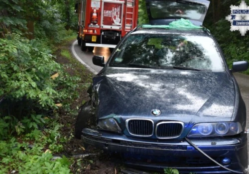 BMW uderzyło w drzewo. 30-latek miał potem zaatakować mundurowych
