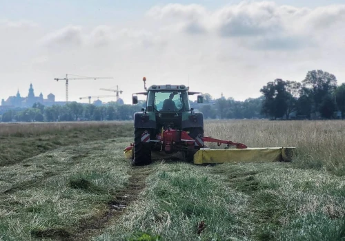 Sianokosy na krakowskich Błoniach rozpoczęte. Na łąkę wyjechał sprzęt