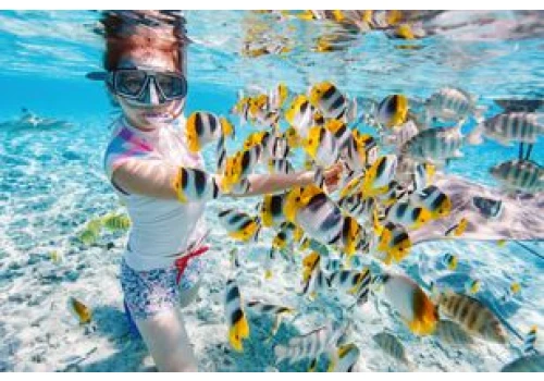 Płetwy do pływania i snorkelingu: jak wybrać odpowiedni model?