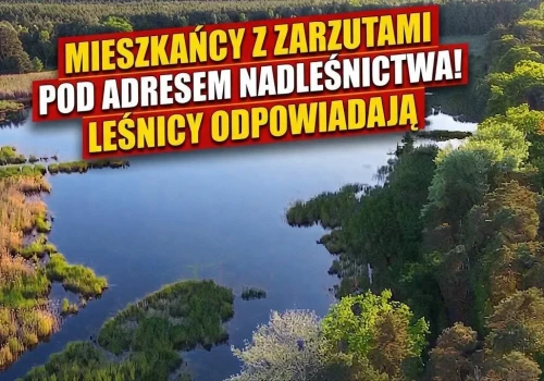 Spór o staw. Mieszkańcy oskarżają nadleśnictwo, leśnicy odpowiadają