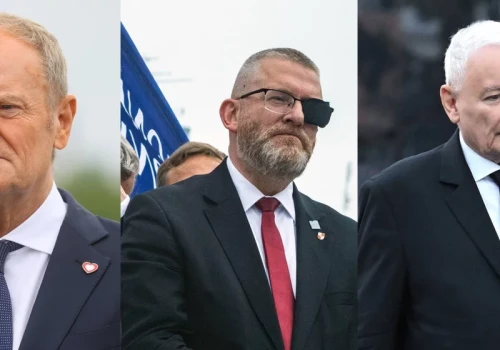 Ekspert wskazał problem PiS i KO przed wyborami. „Konfederacja nauczyła się grać w tę grę”