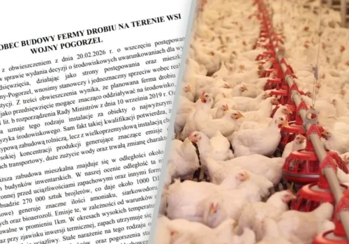Cztery kurniki na 270 tys. kurczaków pod Szepietowem? Mieszkańcy protestują