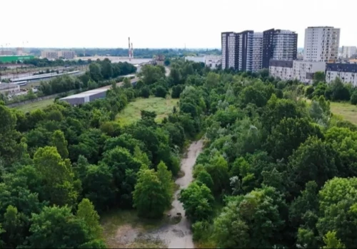 Wrocław już na pewno będzie miał nowy park. Ale najpierw trzeba oczyścić grunt