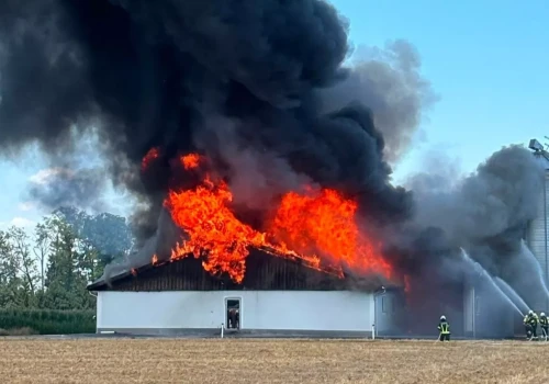 600 świń zginęło w pożarze chlewni. Tragedia tuż po przejęciu gospodarstwa