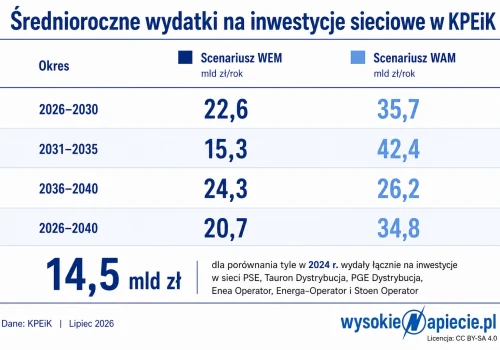 Setki miliardów na inwestycje w sieci. Kto to wszystko zrobi?