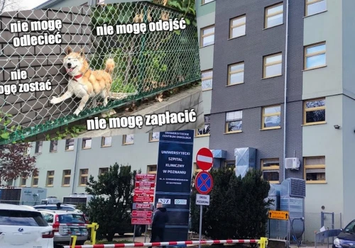 Poznań: chłop po walce o życie w szpitalu utknął na parkingu, został wypuszczony dopiero, jak zapłacił 1350 zł