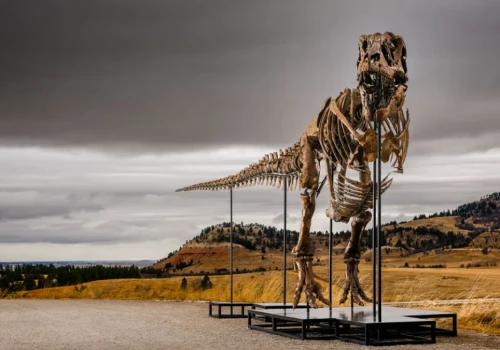 Najdroższy dinozaur świata. Szkielet T. rexa sprzedany za fortunę