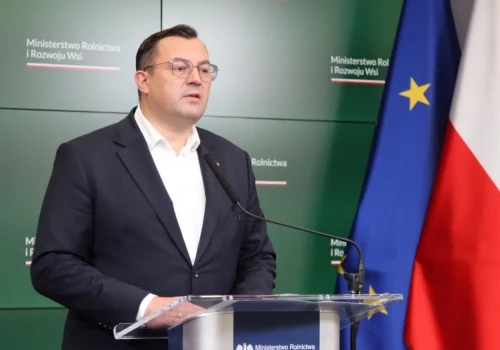 Nie będzie dopłat do świń. Minister wyjaśnił, dlaczego odrzucił postulat hodowców
