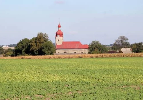 Kościół chce odzyskać 116 hektarów. Rolnicy mówią o presji i sfałszowanym mailu