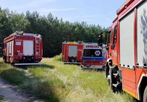 Poważny wypadek podczas wycinki drzew. Wezwano śmigłowiec LPR