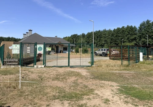 Zwierzogród zajął się młodym bielikiem z Parku Kasprowicza