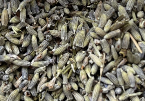 To naturalny sposób na stres, ale ta roślina skrywa więcej niż myślisz