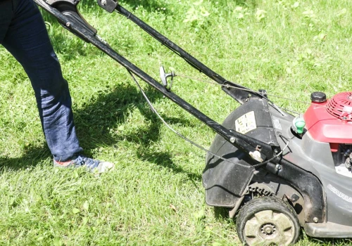 Nie wyrzucaj trawy. Większość Polaków nie wie, że to darmowy skarb. Co to znaczy?