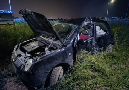 Volkswagen uderzył w latarnię i wypadł na pole. Kierująca zaatakowała mieszkańców i policjantów