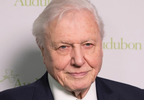 Sir David Attenborough z rekordową nominacją do Emmy. 100-letni prezenter pisze historię telewizji