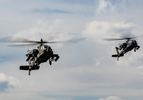 Apache kontra susły w Świdniku. MON odpowiada