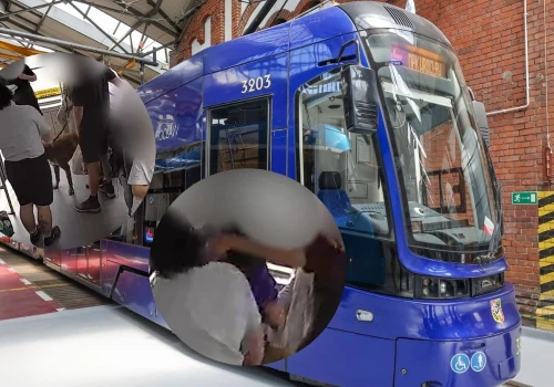 Wrocław: policja złapała gościa, który wsiadł do tramwaju z psem bez kagańca i spoliczkował motorniczego
