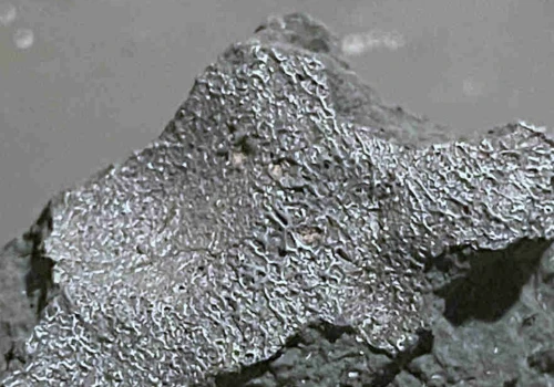 Meteoryt z New Jersey rzuca światło na początki życia na Ziemi