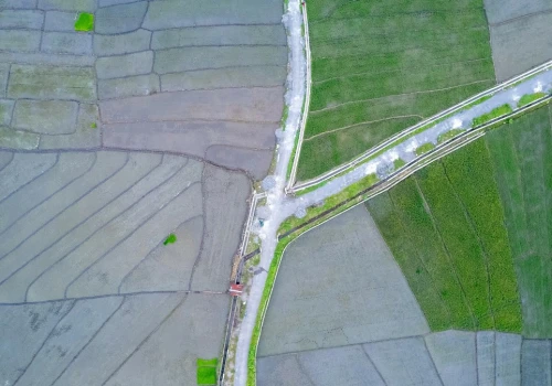 Jak zmiana klimatu wpłynie na rolnictwo w Polsce? Mapa pokazuje straty