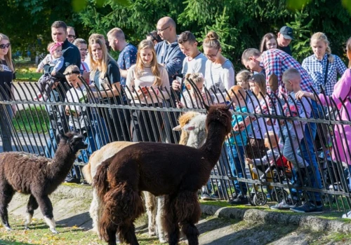 Zoo w Warszawie z pilnym apelem do turystów. A ja nie wiem, gdzie stoi zwierzę