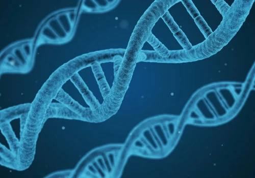Polscy naukowcy za pomocą symulacji sprawdzają zachowania różnych sekwencji DNA
