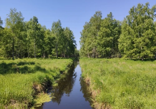 ORLEN przyjął strategię na rzecz bioróżnorodności do 2030 roku