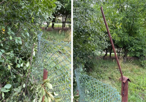 Dramat podczas zbioru wiśni. 65-latka spadła z drabiny na metalowy pręt