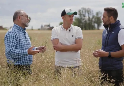 „Ziemi nie da się oszukać”. Rolnik z Kujaw przeszedł na strip-till i ograniczył liczbę przejazdów po polu