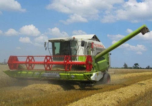 17.07.2026 Ceny skupu zbóż, kukurydzy, oleistych i strączkowych: po ile ziarno ze zbiorów 2026?