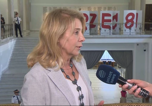 Barbara Dolniak o ustawie ws. zakazu patostreamingu. 