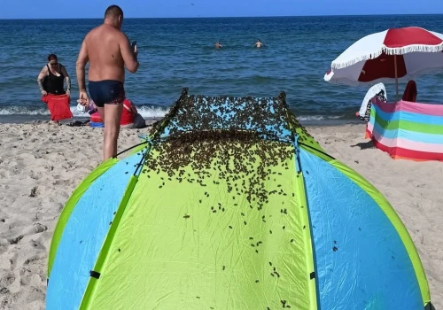 Zaskakujący widok na plaży w Jastarni. Interweniowali strażacy