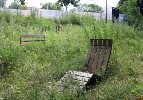 Miał być wizytówką nad Łyną. Dziś ekotaras za ponad milion złotych zarasta chwastami