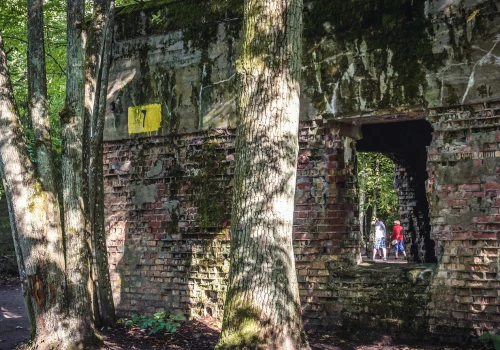 Ta tajemnica Wilczego Szańca do dziś nie daje spokoju. Pod ruinami znaleźli ludzkie szczątki