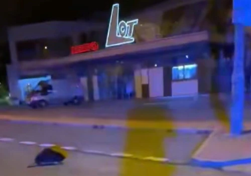 Bóbr wybrał się nocą do kina. Policjanci zapewniają, że mandatu nie dostał