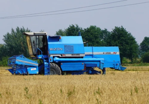 W woj. łódzkim ruszyły żniwa. Na polach gęsto od kombajnów