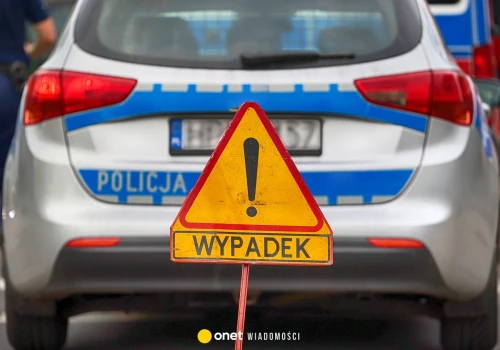 Śmiertelny wypadek koło Torunia. Samochód uderzył w konar drzewa