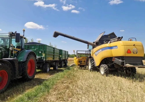 Eksperci alarmują: polskiego rzepaku zabraknie. Import będzie konieczny