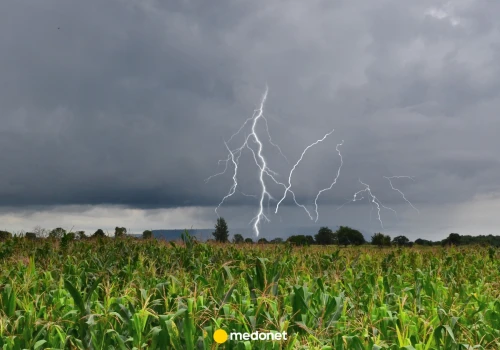 To się dzieje w ciele po uderzeniu pioruna. Naukowcy pokazują, co dzieje się z sercem