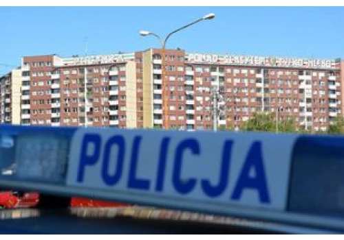 Święto Policji i Piknik Policyjny w Przysusze. Były awanse funkcjonariuszy i atrakcje dla mieszkańców