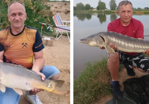 Dwa rekordowe okazy! Takie ryby można łowić na Dolnym Śląsku